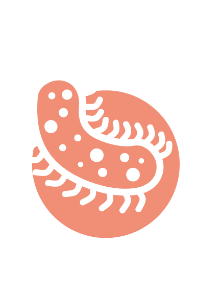 micro-organism