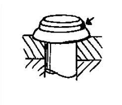 3.concentric rings in head or on structure around head